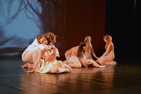 Ballettveranstaltung 2014