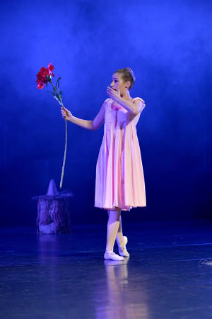 Ballettveranstaltung 2016